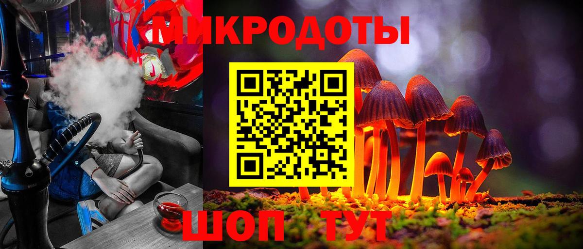 Галлюциногенные грибы Psilocybe Мыски
