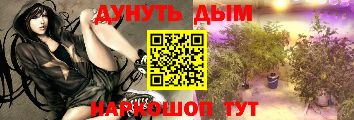 Бошки марихуана ГИДРОПОН Мыски
